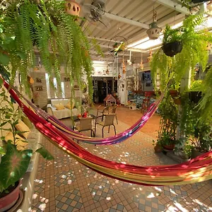 https://edificio-bahia-rodadero.santamartahotels.net